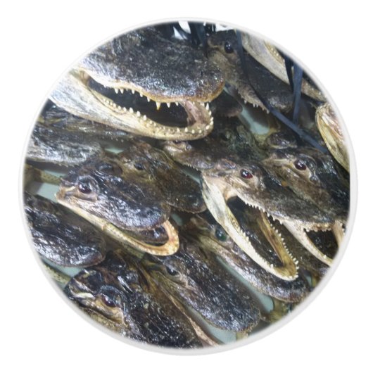 Alligatorhoofd Keramische Knop (Voorkant)