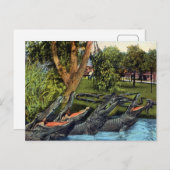  alligatorkwartet Bayano, Panama Briefkaart (Voorkant / Achterkant)