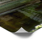 Alligatornamiddag, Everglades, Florida Poster (Hoek)