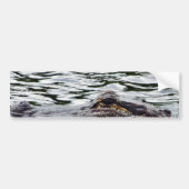 Alligators Bumpersticker (Voorkant)