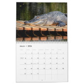 Alligators in het wild 2026 kalender (Mar 2026)