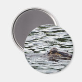 Alligators Magneet (Voorkant / Achterkant)