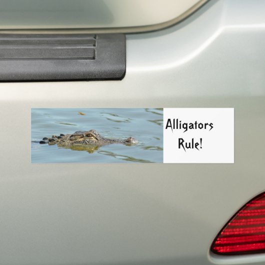 Alligators Rule Bumpersticker (Op auto)