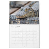 Alligators Sauvages en Floride Calendrier 2026 (Feb 2027)