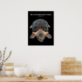 Alligatorschildpad の タ ー poster (Keuken)