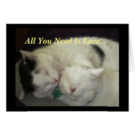 Allis & Abbie De katten die je nodig hebt zijn all