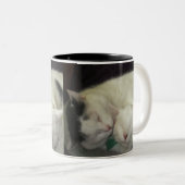 Allis & Abbie Mug (Devant droit)