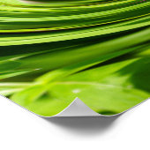 Allium Abstract Poster (Hoek)