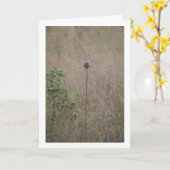 Allium, Allium ampeloprasum, Wilde prei Kaart (Gele Bloem)