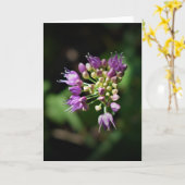 Allium, carte (Fleur jaune)