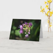 Allium, carte (Fleur jaune)