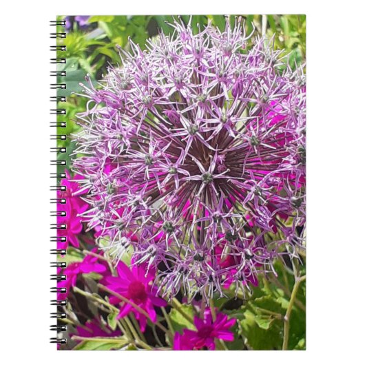 Allium & Fleurs d'été Carnet spiral (Devant)