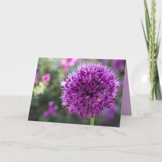 ALLIUM FLEURS PENSER À VOUS CARTES (Devant)