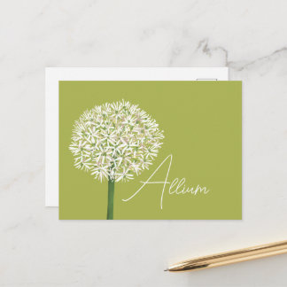 Allium Flower Botanical Art | Elegant Flora Briefkaart