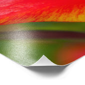 Allium flower foto afdruk (Hoek)