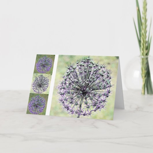 Allium Kaart (Voorkant)