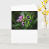 Allium, kaart (Gele Bloem)