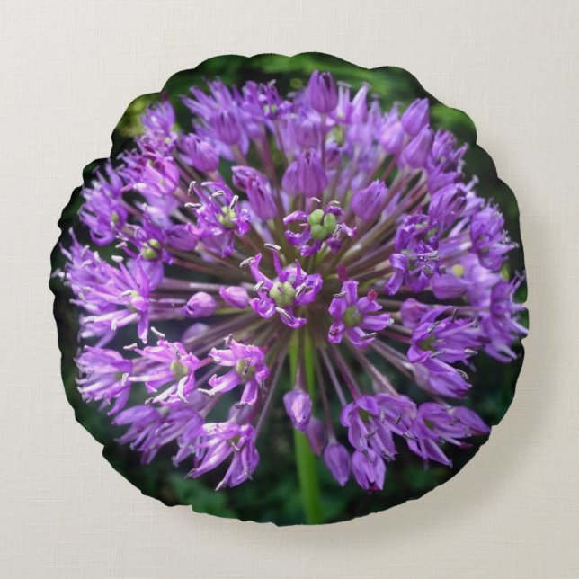 Allium violet Fermer Coussin rond (Devant)