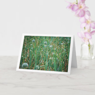 Allium, wilde uienbloesem kaart