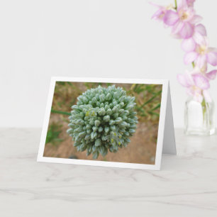 Allium, wilde uienbloesem kaart