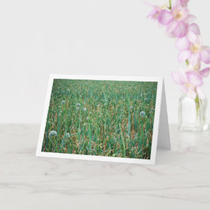 Allium, wilde uienbloesem kaart