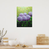 Alliums à Laycock 18inx24in Valeur Poster Matte (Cuisine)