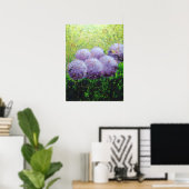Alliums à Laycock 18inx24in Valeur Poster Matte (Bureau à domicile)