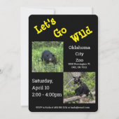 Allons au zoo animal sauvage d'abord Invitation an (Dos)