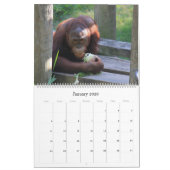 Allons Au Zoo ! Calendrier des animaux amusants (Jan 2026)