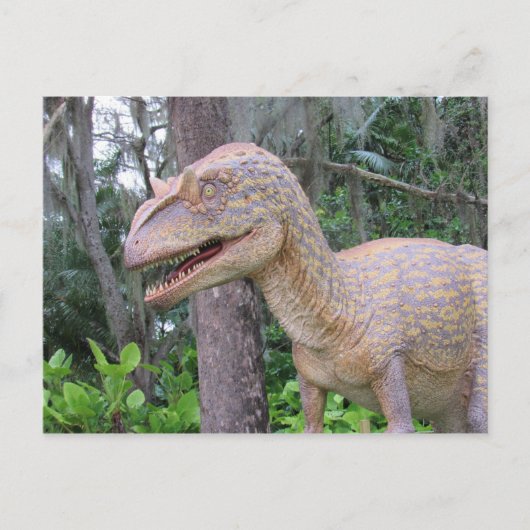 Allosaurus - Dinosaur - Leerkaart Briefkaart (Voorkant)