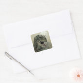 Allosaurus Dinosaur Vierkante Sticker (Envelop)