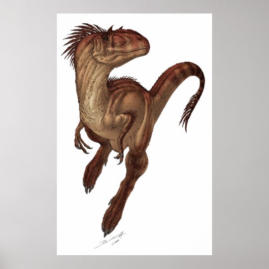 Allosaurus fragilis poster (Voorkant)