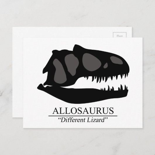 Allosaurus Skull Briefkaart (Voorkant / Achterkant)