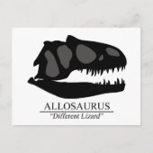 Allosaurus Skull Briefkaart (Voorkant)