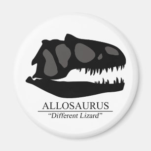 Allosaurus Skull Magneet