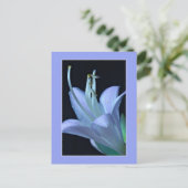 Allround Elegante en Chic Macro Hosta Bloem Briefkaart (Staand voorkant)