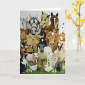 Allsorts Kaart (Gele Bloem)