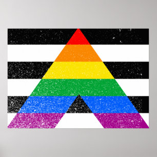 ALLY FLAG ORIGINAL -.png Poster