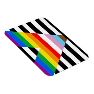 Ally Progress Pride Flag Magneet