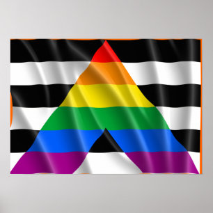 ALLY Vlag Vliegend -.png Poster