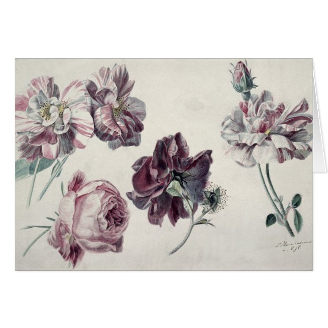 Alma-Tadema | ROZEN (Voorkant Horizontaal)