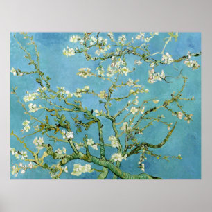 Almond Blossom Branches (F671) Van Gogh Fine Art Poster