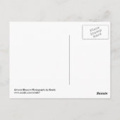 Almond Blossom Briefkaart (Achterkant)