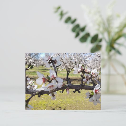 Almond Blossom Briefkaart (Staand voorkant)