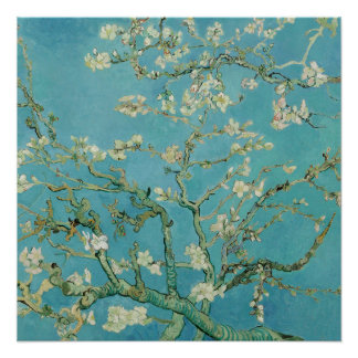 Almond Blossom door Vincent Van Gogh Fine Art Perfect Poster
