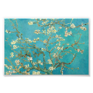 Almond Blossom door Vincent van Gogh Foto Afdruk