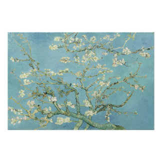 Almond Blossom door Vincent van Gogh Foto Afdruk