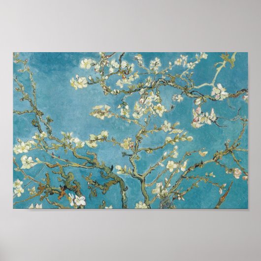 Almond Blossom door Vincent van Gogh Poster (Voorkant)