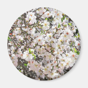 Almond blossom magnet magneet