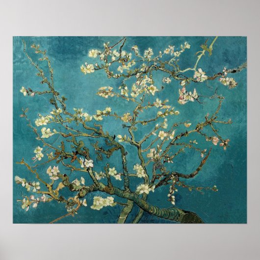 Almond Blossom Poster (Voorkant)